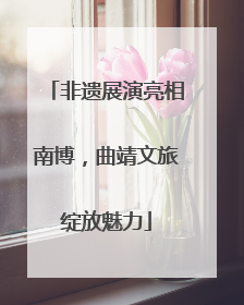 非遗展演亮相南博，曲靖文旅绽放魅力