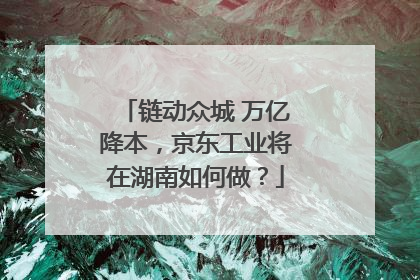 链动众城 万亿降本，京东工业将在湖南如何做？
