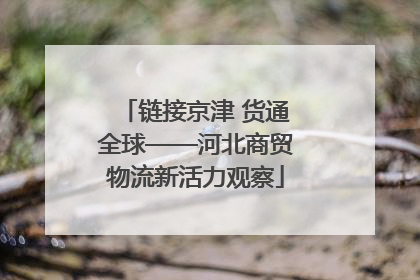 链接京津 货通全球——河北商贸物流新活力观察