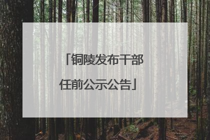 铜陵发布干部任前公示公告