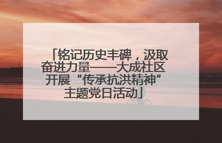 铭记历史丰碑，汲取奋进力量——大成社区开展“传承抗洪精神”主题党日活动