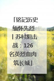 铭记历史 缅怀先烈丨苏村阻击战：126名英烈血肉筑长城