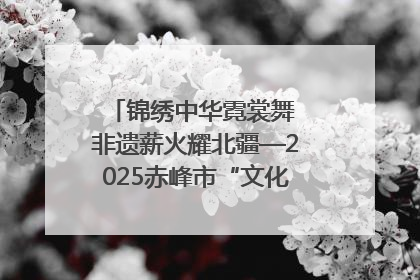 锦绣中华霓裳舞 非遗薪火耀北疆—2025赤峰市“文化和自然遗产日”非遗宣传展示活动纪实
