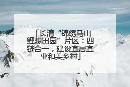 长清“锦绣马山 鲤想田园”片区：四链合一，建设宜居宜业和美乡村