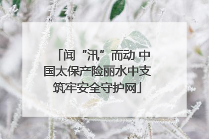 闻“汛”而动 中国太保产险丽水中支筑牢安全守护网