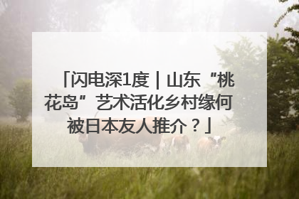 闪电深1度｜山东“桃花岛”艺术活化乡村缘何被日本友人推介？