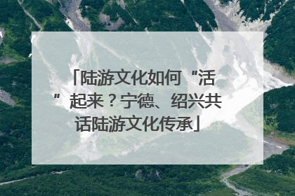 陆游文化如何“活 ”起来？宁德、绍兴共话陆游文化传承