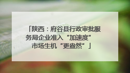 陕西：府谷县行政审批服务局企业准入“加速度” 市场生机“更盎然”