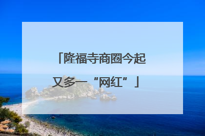 隆福寺商圈今起又多一“网红”