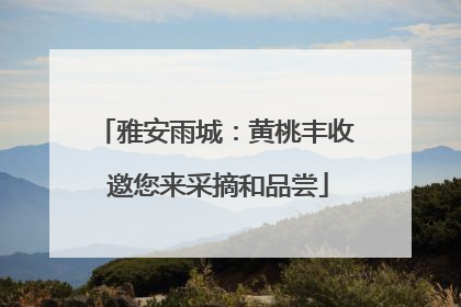 雅安雨城：黄桃丰收 邀您来采摘和品尝