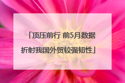 顶压前行 前5月数据折射我国外贸较强韧性