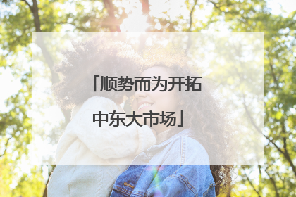 顺势而为开拓中东大市场