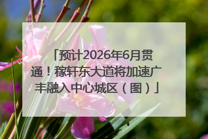 预计2026年6月贯通！稼轩东大道将加速广丰融入中心城区（图）