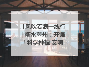风吹麦浪一线行｜衡水冀州：开镰！科学种植 奏响丰收序曲