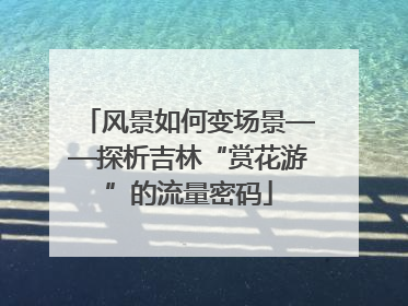 风景如何变场景——探析吉林“赏花游”的流量密码
