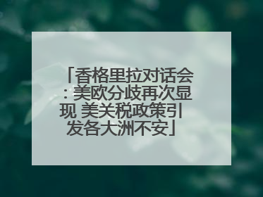 香格里拉对话会：美欧分歧再次显现 美关税政策引发各大洲不安