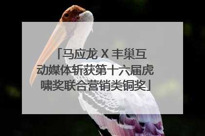 马应龙 X 丰巢互动媒体斩获第十六届虎啸奖联合营销类铜奖