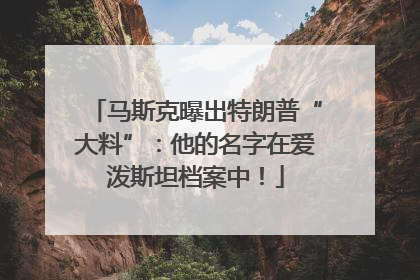 马斯克曝出特朗普“大料”：他的名字在爱泼斯坦档案中！