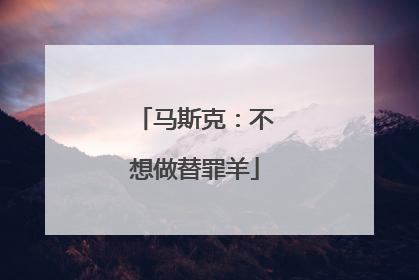 马斯克：不想做替罪羊