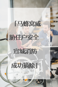 马蜂窝威胁住户安全 宣城消防成功摘除