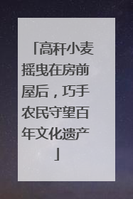 高秆小麦摇曳在房前屋后，巧手农民守望百年文化遗产