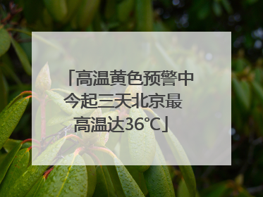 高温黄色预警中 今起三天北京最高温达36℃