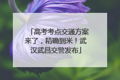 高考考点交通方案来了，精确到米！武汉武昌交警发布