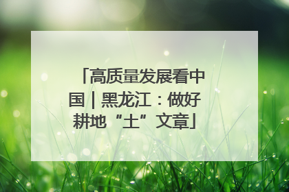 高质量发展看中国｜黑龙江：做好耕地“土”文章