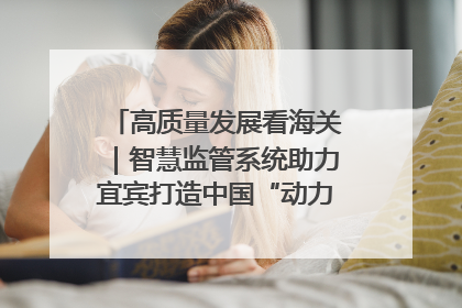 高质量发展看海关｜智慧监管系统助力宜宾打造中国“动力电池之都”