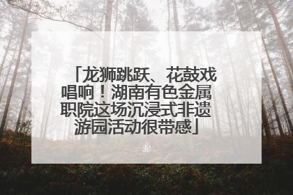 龙狮跳跃、花鼓戏唱响！湖南有色金属职院这场沉浸式非遗游园活动很带感