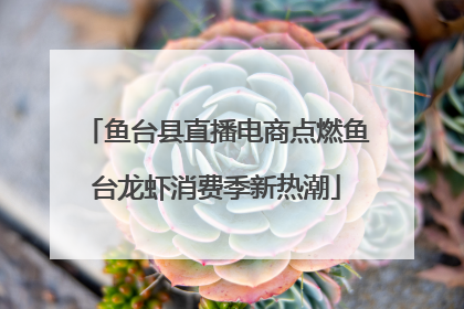 鱼台县直播电商点燃鱼台龙虾消费季新热潮