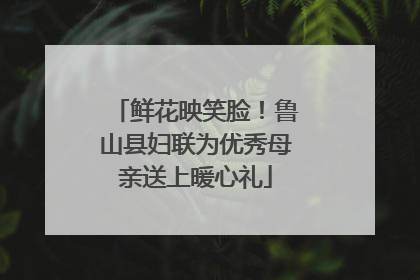 鲜花映笑脸！鲁山县妇联为优秀母亲送上暖心礼