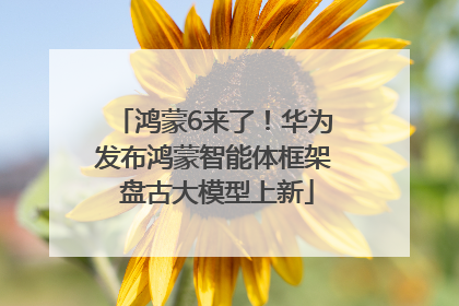 鸿蒙6来了！华为发布鸿蒙智能体框架 盘古大模型上新