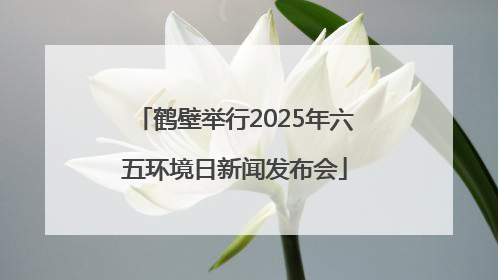 鹤壁举行2025年六五环境日新闻发布会