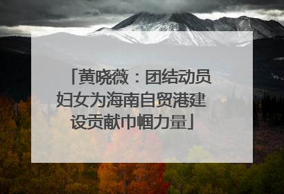 黄晓薇：团结动员妇女为海南自贸港建设贡献巾帼力量