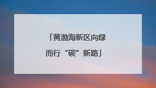 黄渤海新区向绿而行“碳”新路