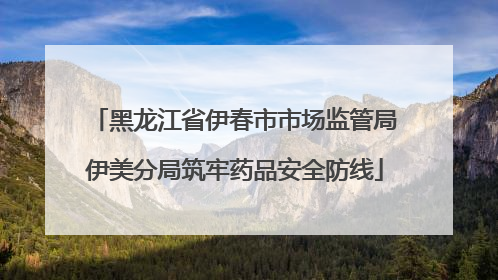 黑龙江省伊春市市场监管局伊美分局筑牢药品安全防线