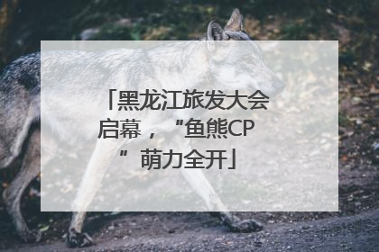 黑龙江旅发大会启幕，“鱼熊CP”萌力全开