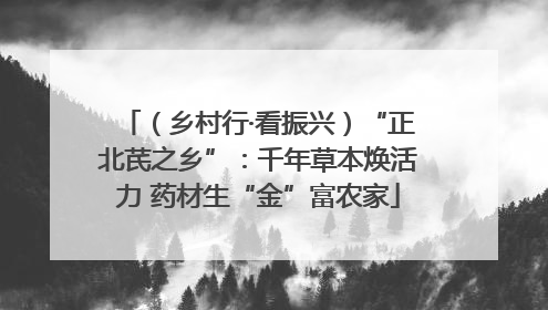 （乡村行·看振兴）“正北芪之乡”：千年草本焕活力 药材生“金”富农家
