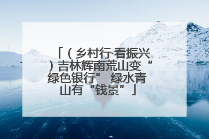（乡村行·看振兴）吉林辉南荒山变“绿色银行” 绿水青山有“钱景”
