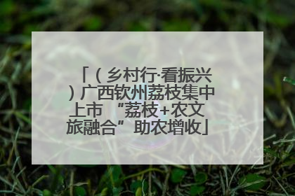 （乡村行·看振兴）广西钦州荔枝集中上市 “荔枝+农文旅融合”助农增收