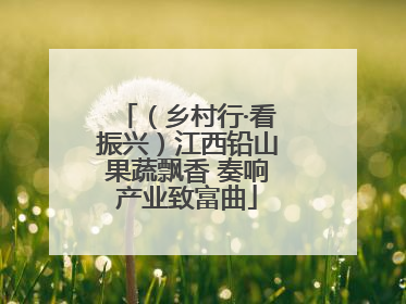 （乡村行·看振兴）江西铅山果蔬飘香 奏响产业致富曲