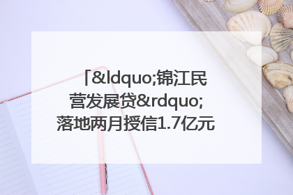 “锦江民营发展贷”落地两月授信1.7亿元，惠及118家民企