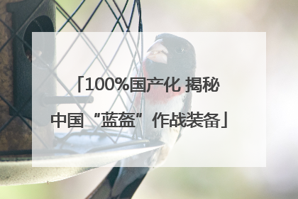 100%国产化 揭秘中国“蓝盔”作战装备
