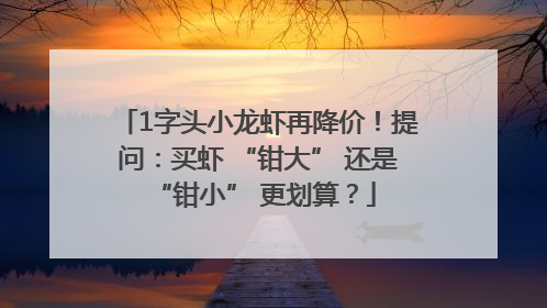 1字头小龙虾再降价！提问：买虾 “钳大” 还是 “钳小” 更划算？