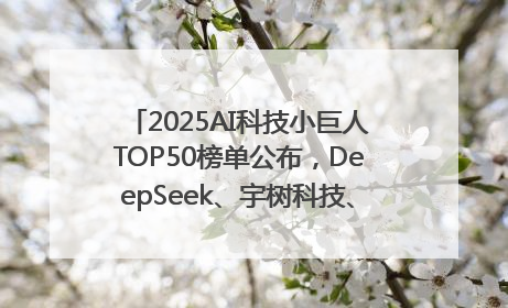2025AI科技小巨人TOP50榜单公布，DeepSeek、宇树科技、蘑菇车联等企业荣誉上榜