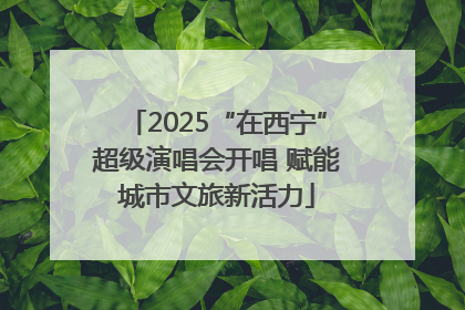 2025“在西宁”超级演唱会开唱 赋能城市文旅新活力