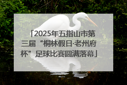 2025年五指山市第三届“桐林假日·老州府杯”足球比赛圆满落幕