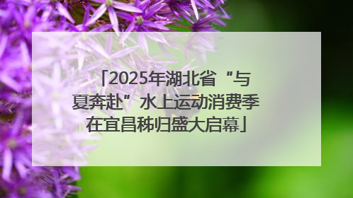 2025年湖北省“与夏奔赴”水上运动消费季在宜昌秭归盛大启幕