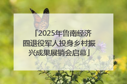 2025年鲁南经济圈退役军人投身乡村振兴成果展销会启幕